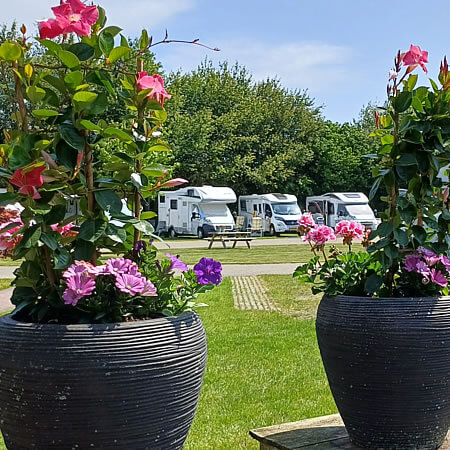 Foto: Vrolijke zomerbloeiers op cp Skop'nboer