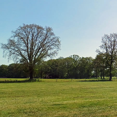 Foto: De omgeving van de CP