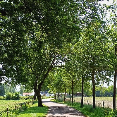 Foto: De toegangsweg naar camperplaats Skop'nboer