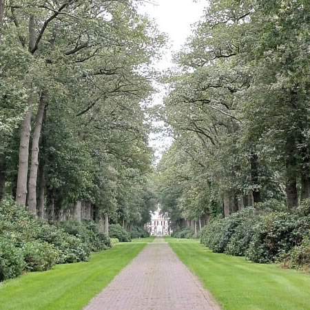 Een kasteel Ver weg van de bewoonde wereld