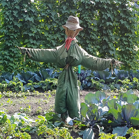 Vogelverschrikker in de moestuin van het landgoed