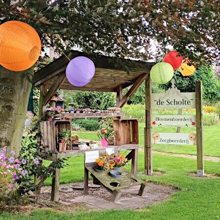 Foto: Bloemenboerderij De Scholte