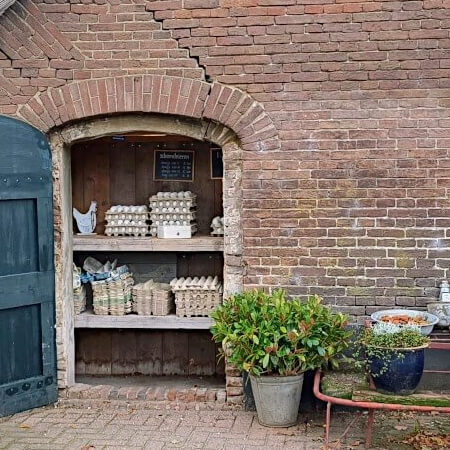 Foto: Eieren te koop