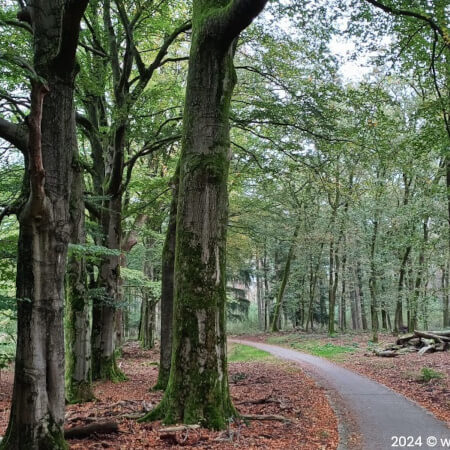 Foto: Heerlijk fietsen over mooie fietspaden