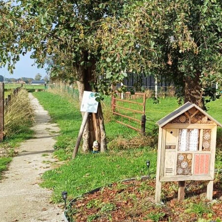 Foto: Wandelpad naar de openbare weg