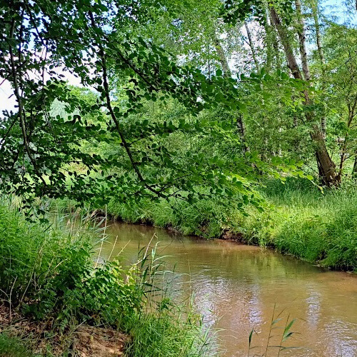 Foto: Mooie plek voor een moment van stilte