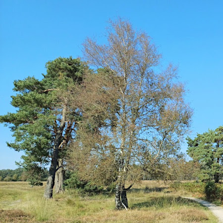 Foto: Heerlijk fietsen in Haaksbergen
