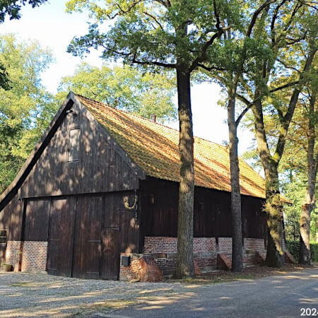 Foto: Mooi toch . . . 