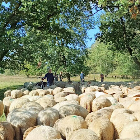 Foto: Opzij, opzij, opzij . . . maak plaats, maak plaats, maak plaats . . .