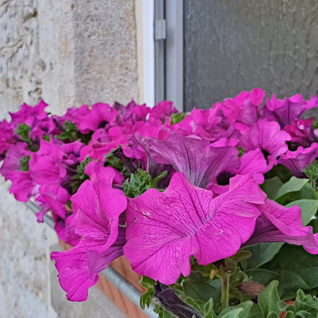 Foto: De hele camping ziet er verzorgd uit