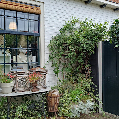 Foto: Mooi stilleven