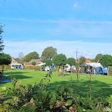 Het achterste veld Foto: Het achterste veld