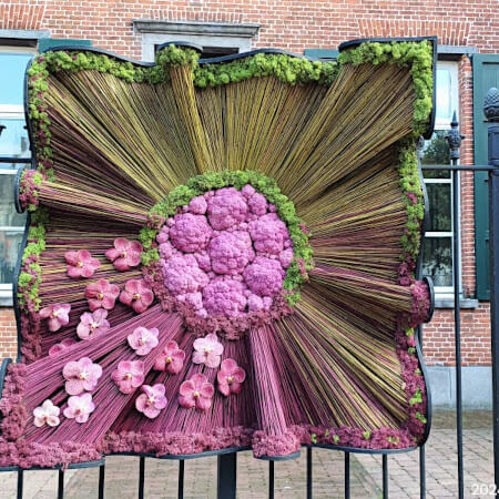 Creatief met bloemkool en Phalaenopsis Foto: Creatief met bloemkool en Phalaenopsis