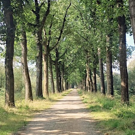 Lange en rechte wegen in Wortel-Kolonie Foto: Lange en rechte wegen in Wortel-Kolonie