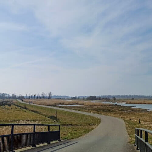Foto: Nationaal Park de Biesbosch