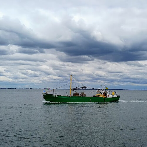 Foto: Kotter in Yerseke