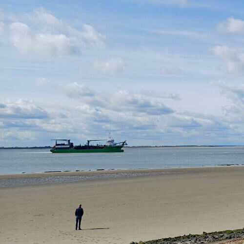 Foto: Zeeschepen bekijken bij Hansweert