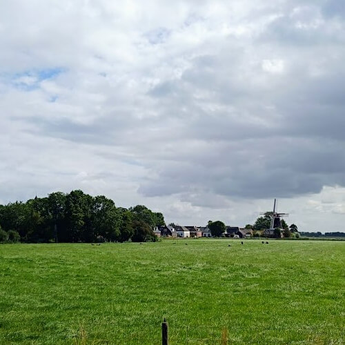 Foto: Blik op de molen van Westerwijtwerd