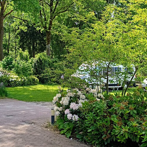 Foto: De route naar de camperweide