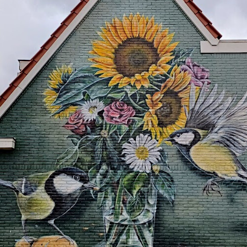 Altijd lente in Sluiswijk - Randerstraat 23 - Artiest: Joost Zwanenburg Foto: Altijd lente in Sluiswijk - Randerstraat 23 - Artiest: Joost Zwanenburg