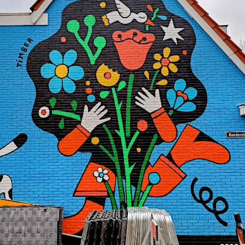 How to grow wall flowers - Tjoenerstraat 2, muur in Randerstraat - Artiest: Timber Sommerdijk Foto: How to grow wall flowers - Tjoenerstraat 2, muur in Randerstraat - Artiest: Timber Sommerdijk