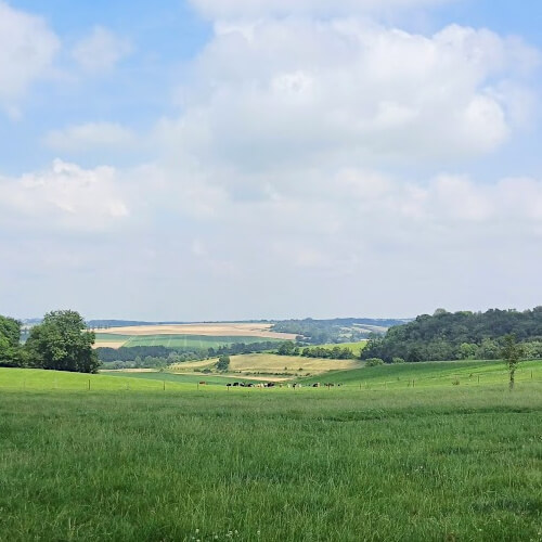Camperplezier in Limburg
