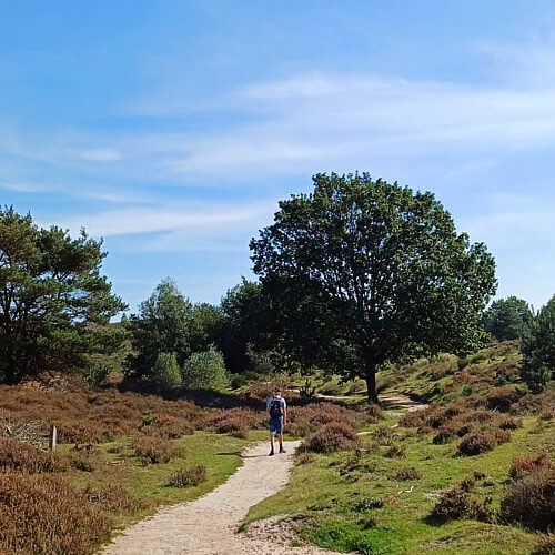 De Veluwe