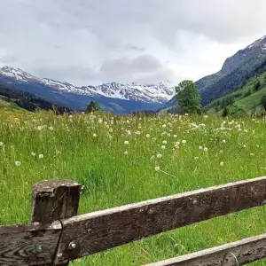 Raurisertal in Oostenrijk